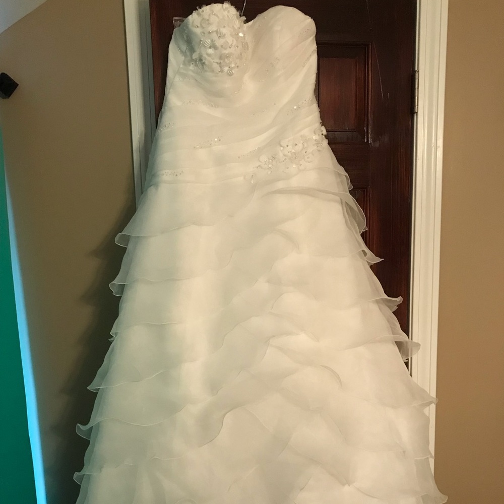 Wedding dress and veil